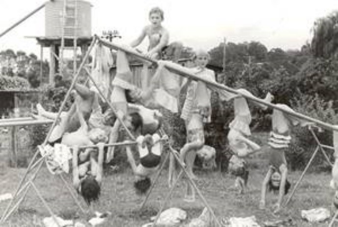 Image result for monkey bars school